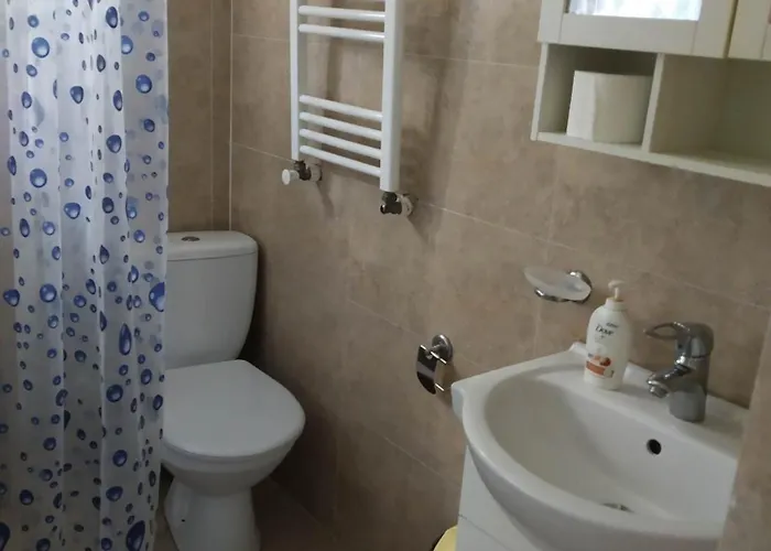 Hostel Pensiunea Mary